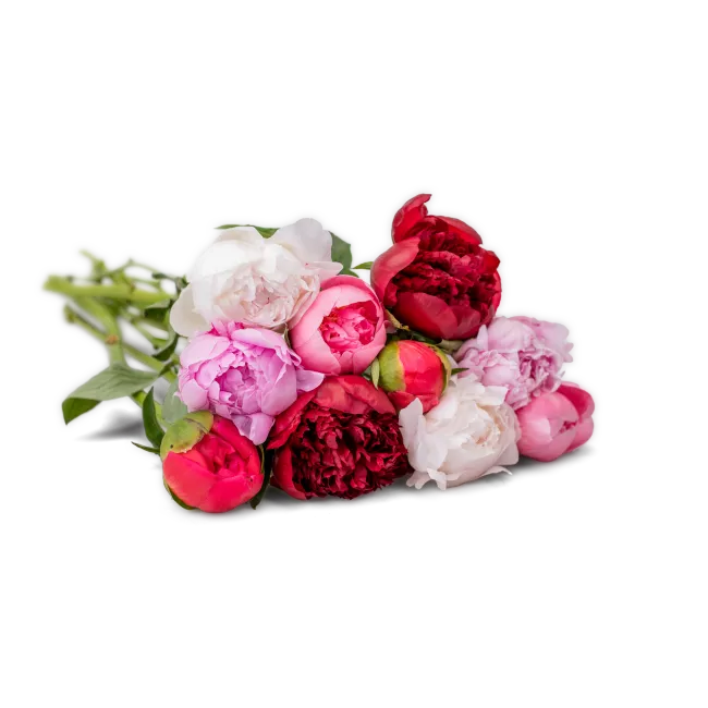 Custom Peonies Bouquet